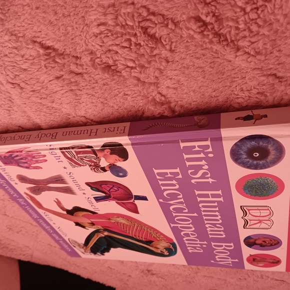 First Human Body Encyclopedia Book - Picture 6 of 11